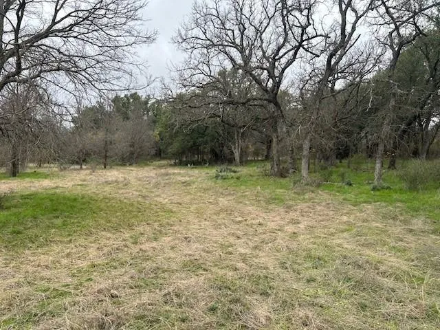 a view of outdoor space with trees all around
