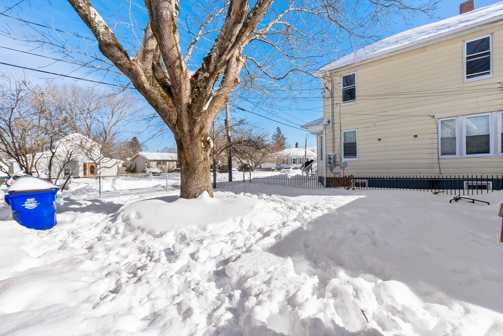 677 Oak Grove Avenue Fall River, MA 02720 - Photo 24 of 26 a view of a backyard with a large tree