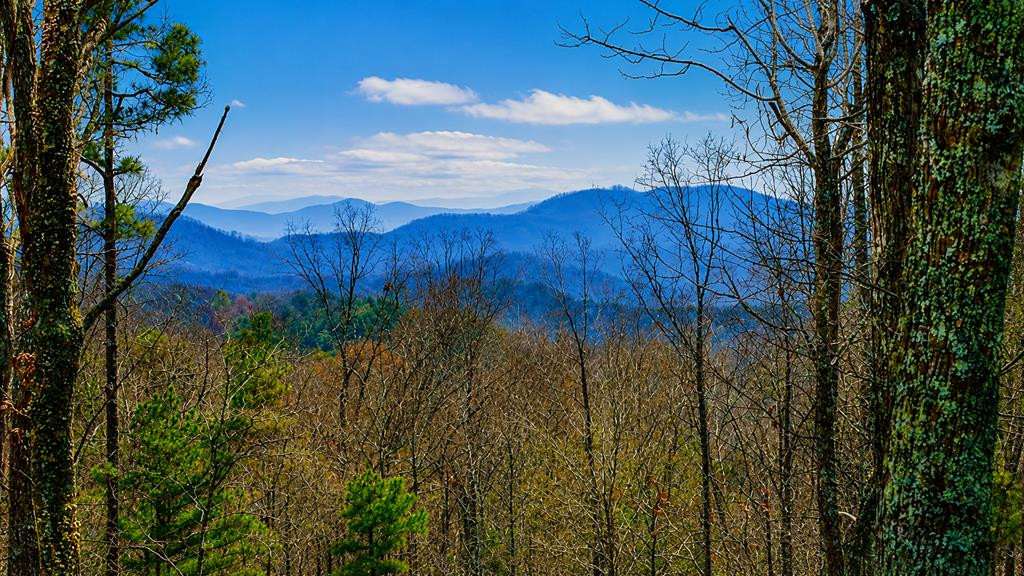 449 Legendary Ridge Road Murphy, NC 28906 - Photo 3 of 28