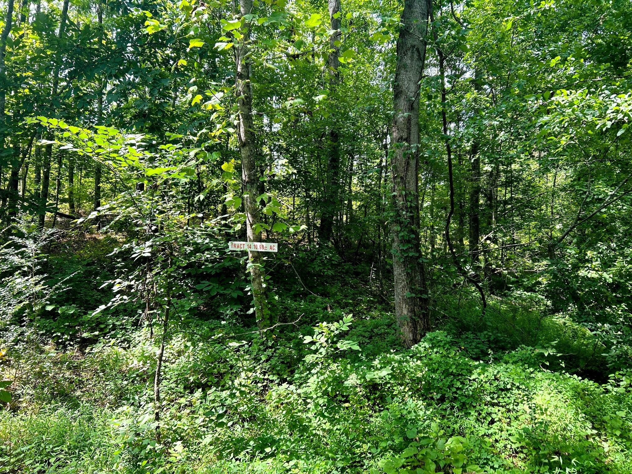 1314 Hughes Lake Road Southeast Cleveland, TN 37323 - Photo 2 of 20