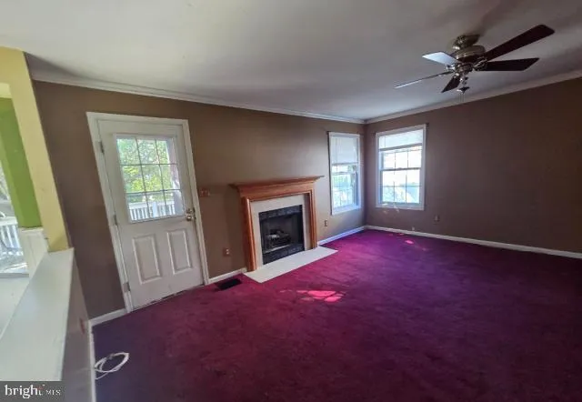 a view of empty room with window and fireplace