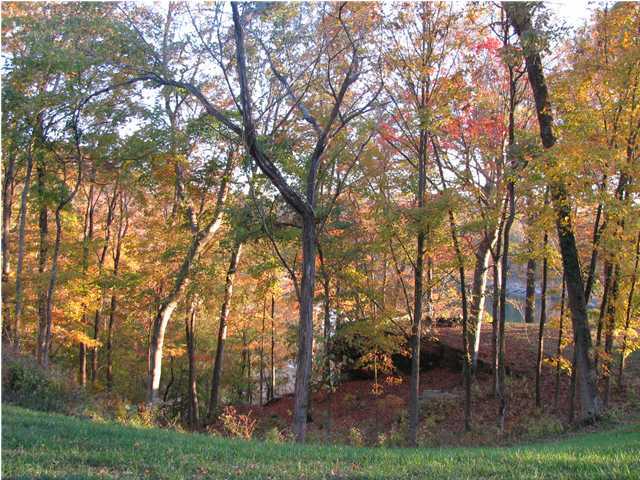 486 Spring Shores Lane Falls Of Rough, KY 40119 - Photo 15 of 15 Additional Photo