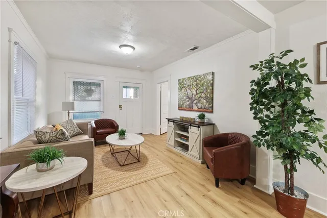 a living room with furniture a potted plant and a lamp