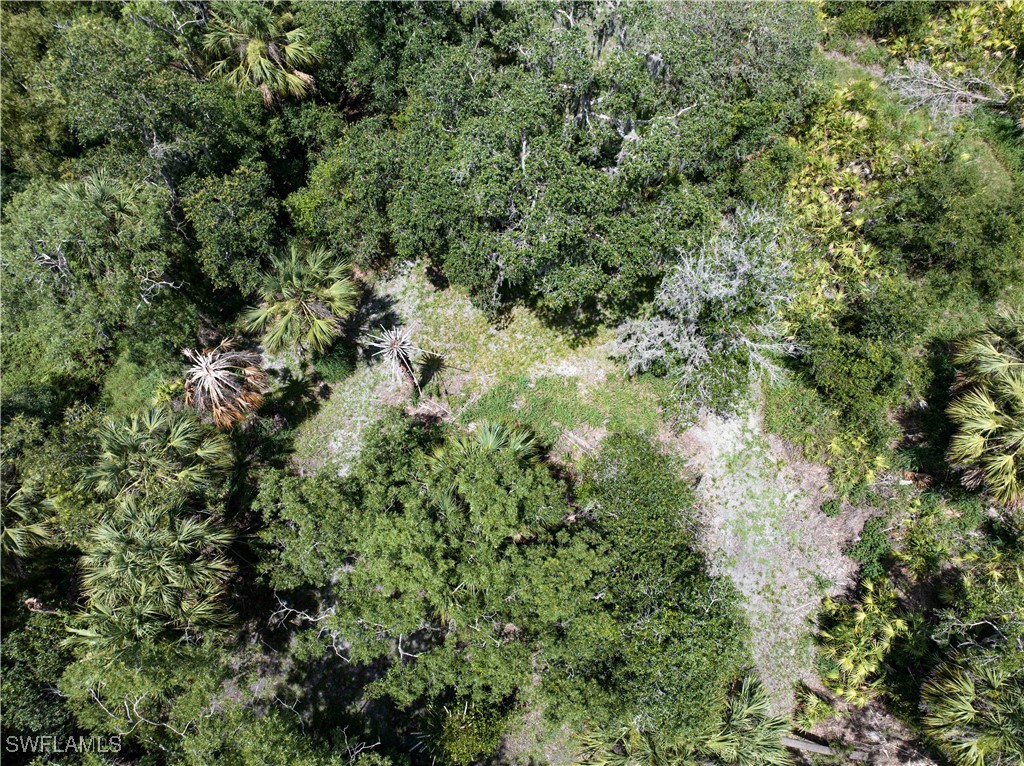 1269 Northwest Peace Pointe Drive Arcadia, FL 34266 - Photo 20 of 21 an aerial view of residential house with space and trees all around