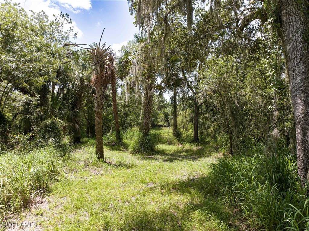 1269 Northwest Peace Pointe Drive Arcadia, FL 34266 - Photo 7 of 21 a view of outdoor space and trees
