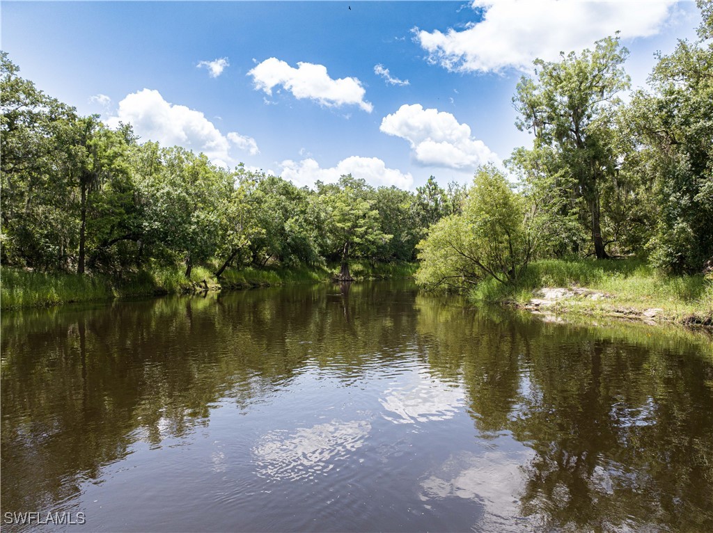 1269 Northwest Peace Pointe Drive Arcadia, FL 34266 - Photo 8 of 21 a view of a lake in between two of trees