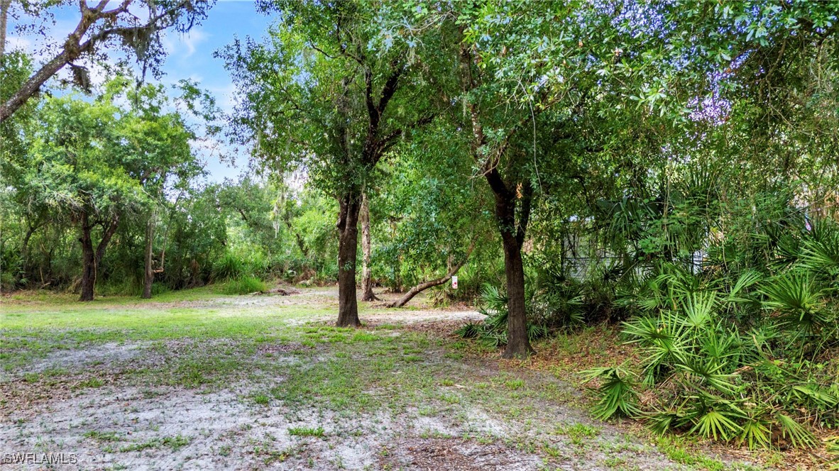 1269 Northwest Peace Pointe Drive Arcadia, FL 34266 - Photo 10 of 21 a view of a trees with a backyard