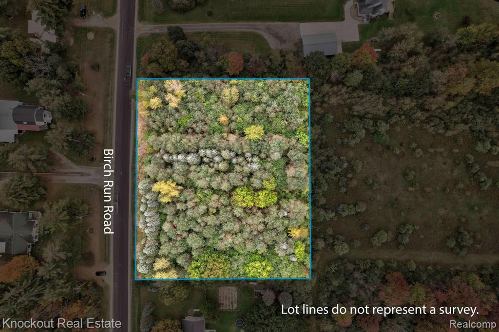 0 Birch Run Road Munger, MI 48747 - Photo 8 of 18