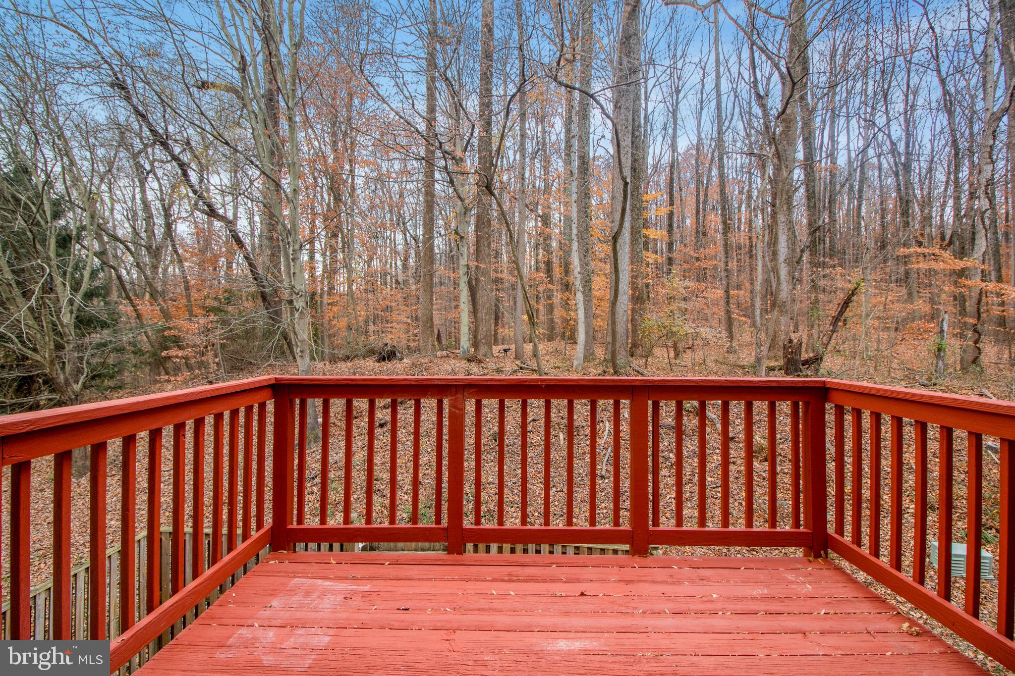 13136 Ripon Place Upper Marlboro, MD 20772 - Photo 42 of 44