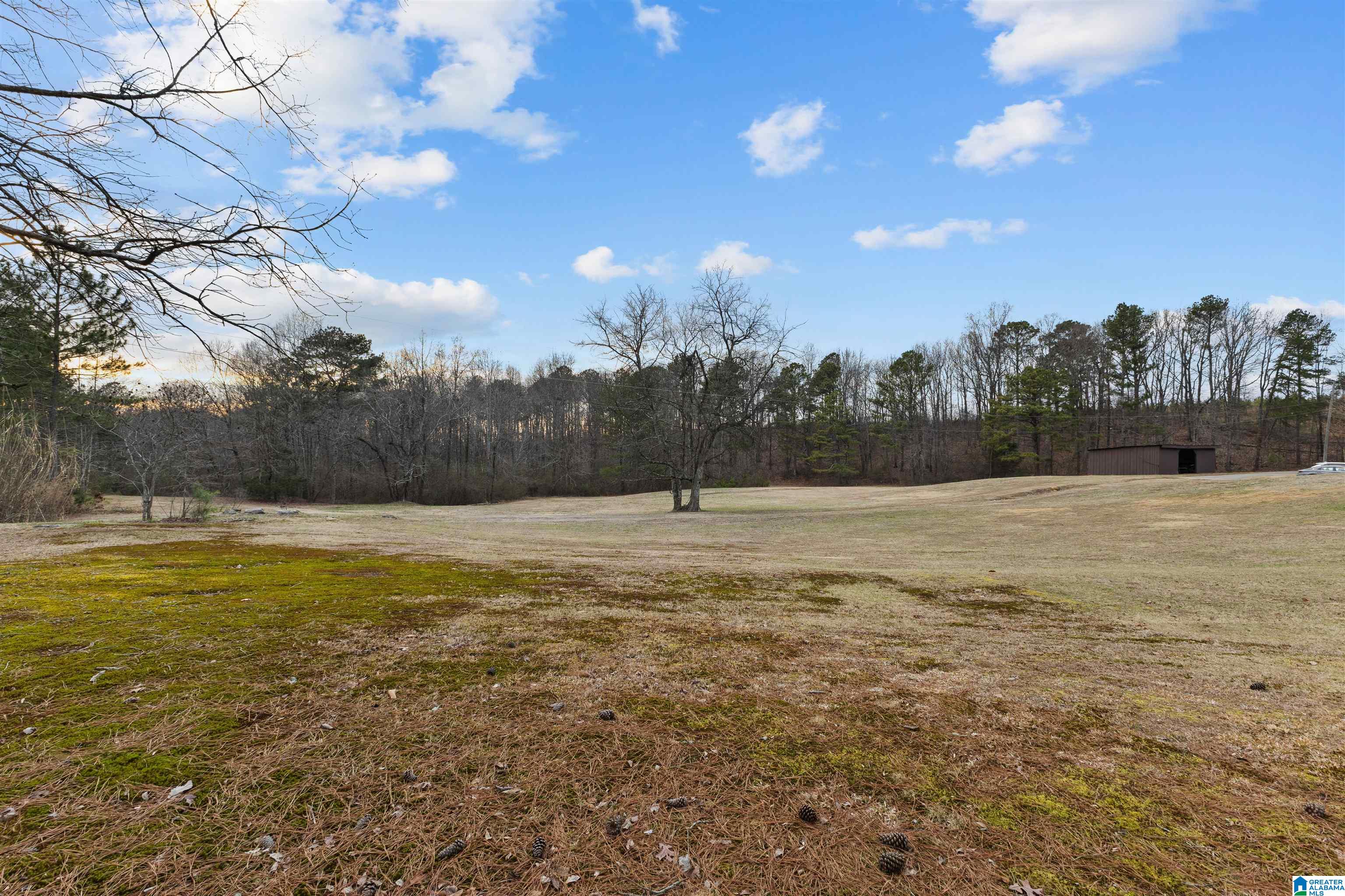 560 Phillips Drive Oneonta, AL 35121 - Photo 48 of 50