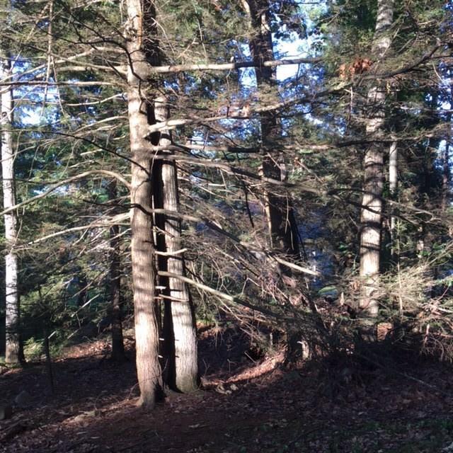 0 Rabbit Run Wells, ME 04090 - Photo 18 of 26 Photo