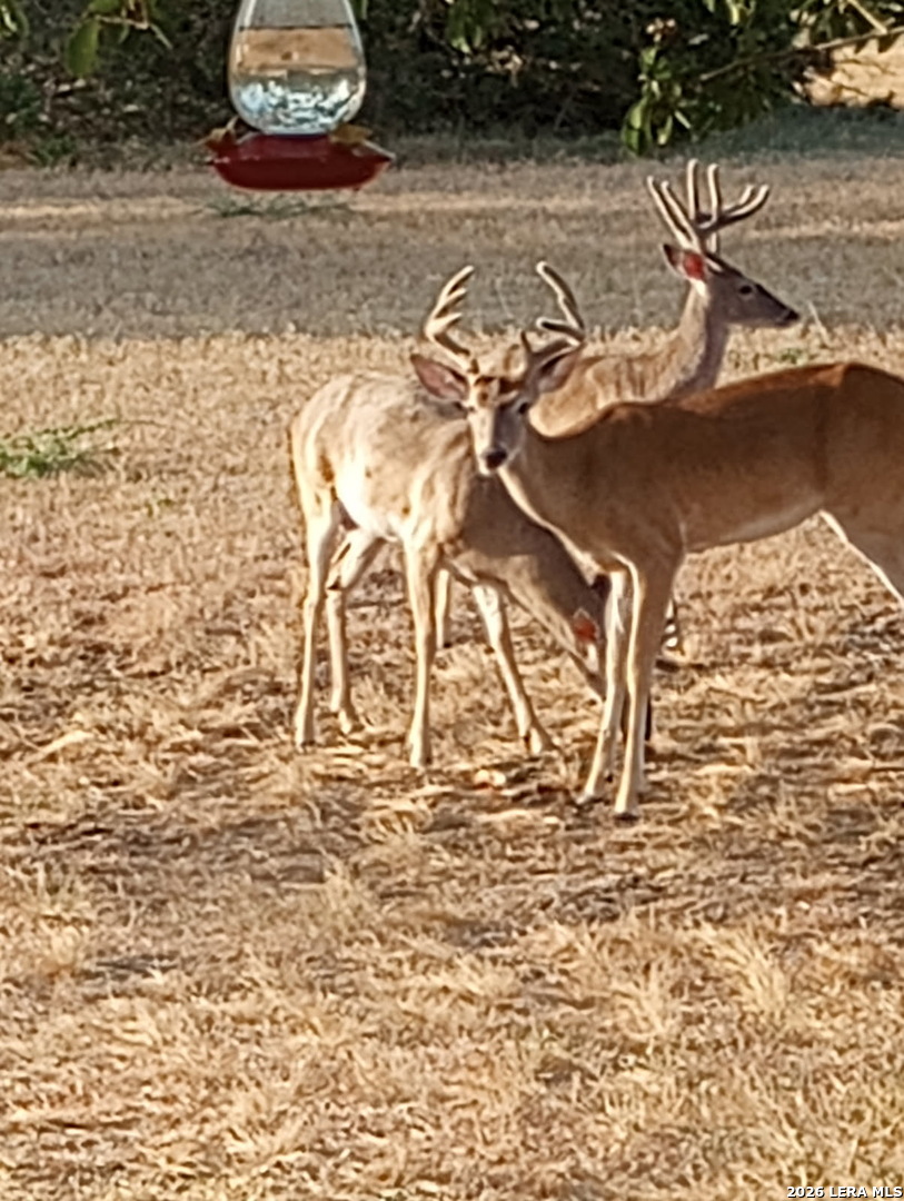 31910 Blanco Road Bulverde, TX 78163 - Photo 19 of 25 a view of empty room with an empty space