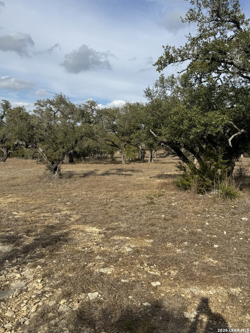 31910 Blanco Road Bulverde, TX 78163 - Photo 23 of 25 a view of lake view and mountain