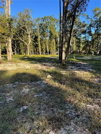 a view of outdoor space with trees