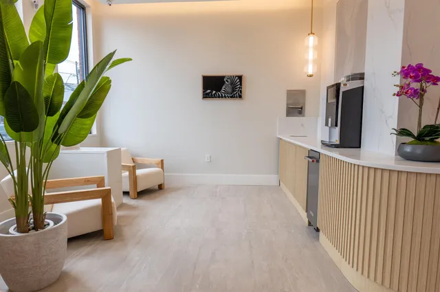 a living room with furniture and a potted plant