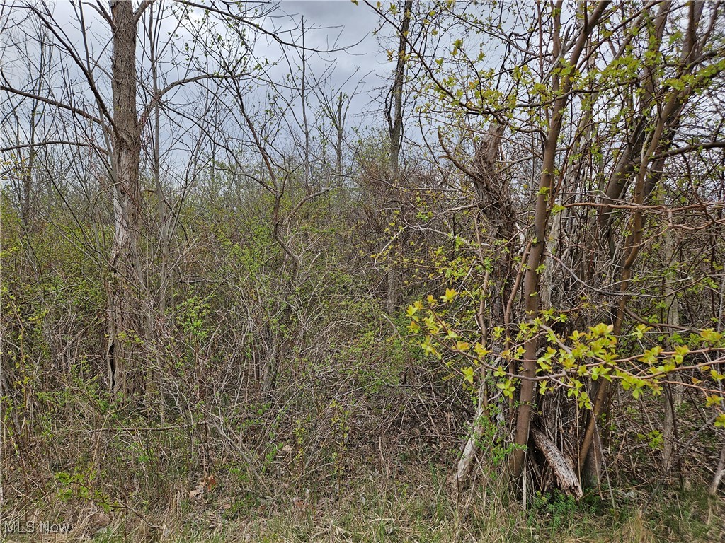 6193 River Road Madison, OH 44057 - Photo 2 of 6 land available