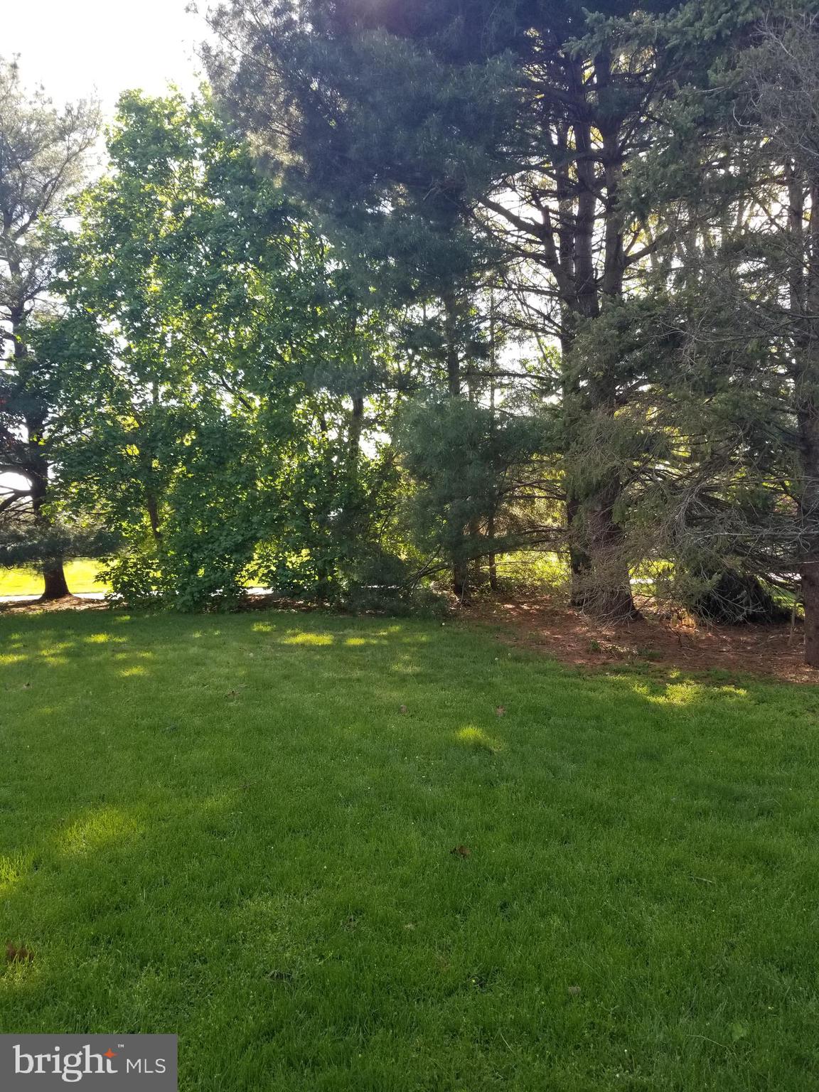 913 Rabbit Hill Road Lititz, PA 17543 - Photo 3 of 15 Yard