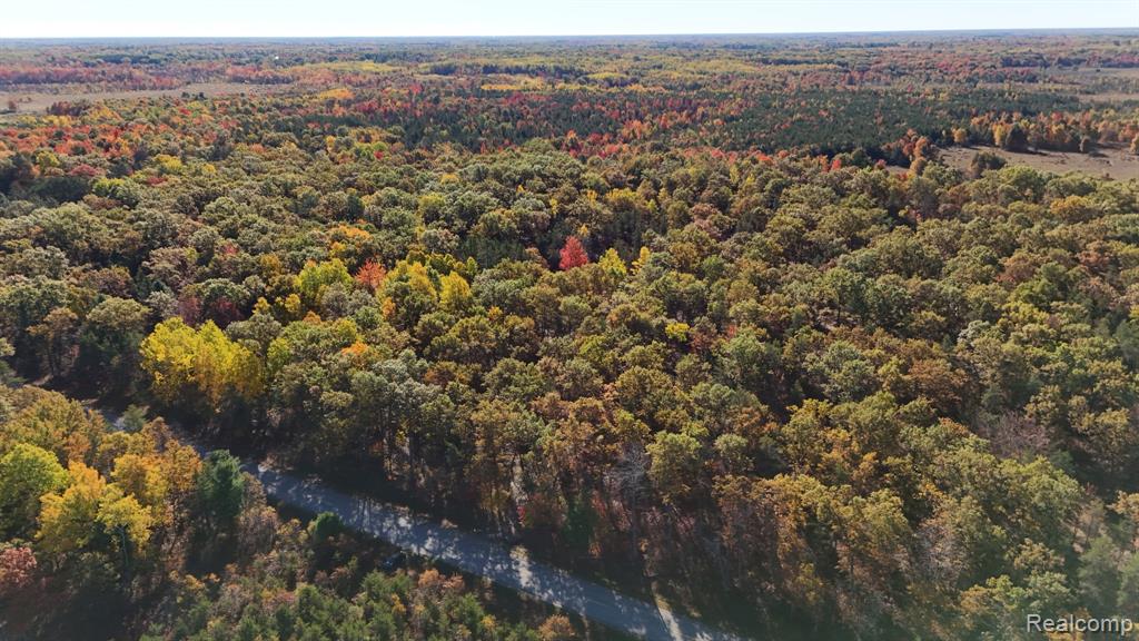 0 Grim Road Bentley, MI 48613 - Photo 7 of 15