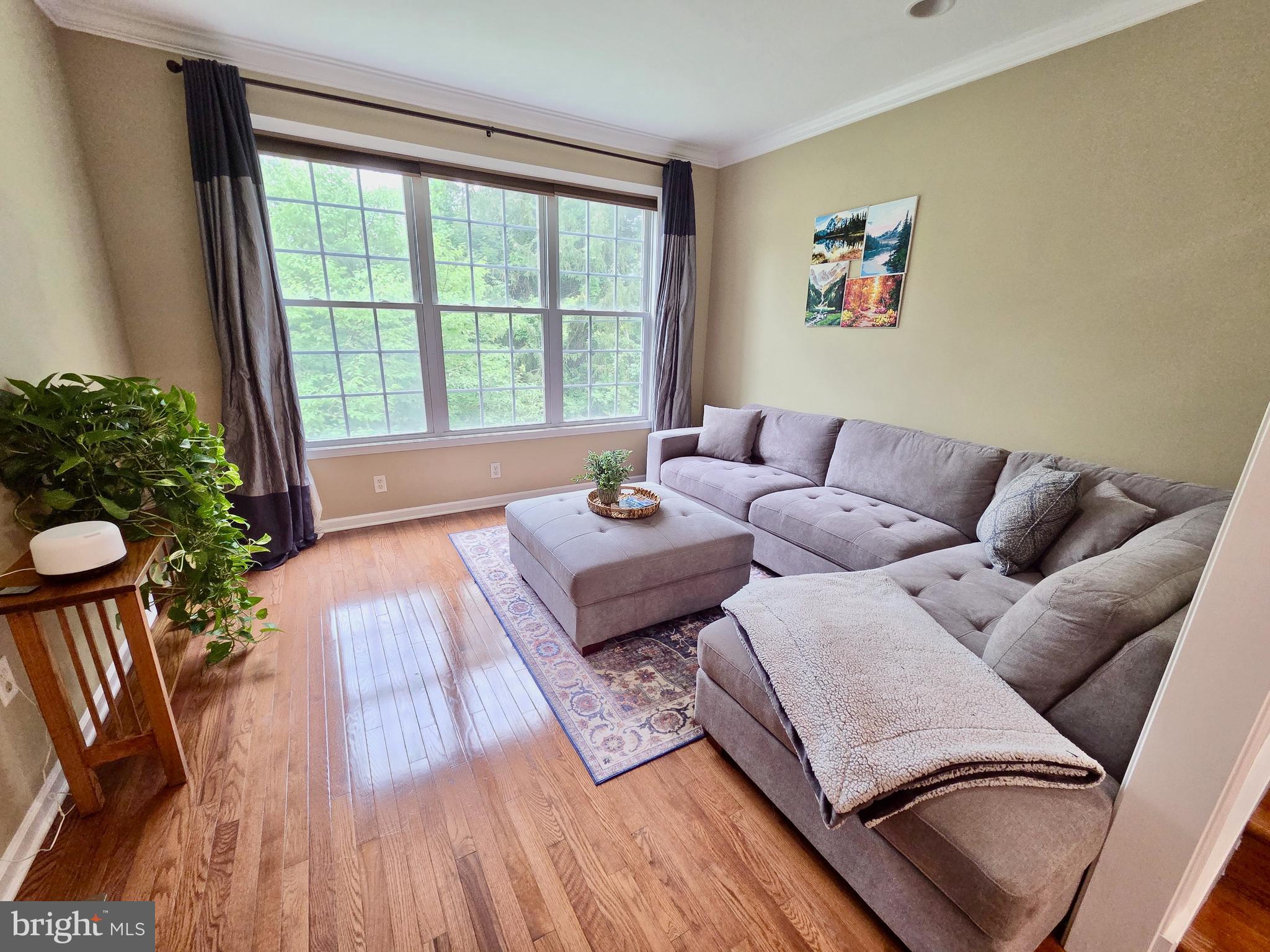 261 Lenni Road Media, PA 19063 - Photo 6 of 46 Living room
