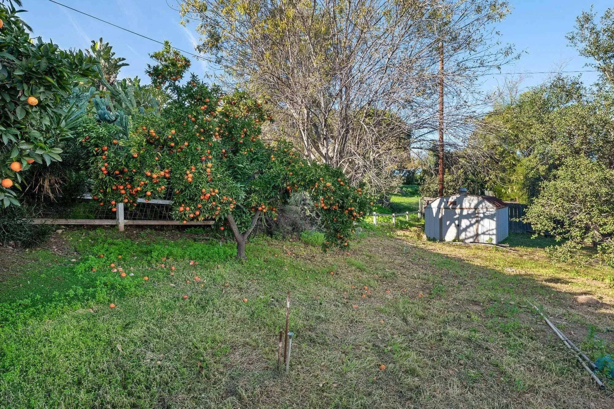 1780 Grove Road El Cajon, CA 92020 - Photo 46 of 59 a front view of a house with a yard