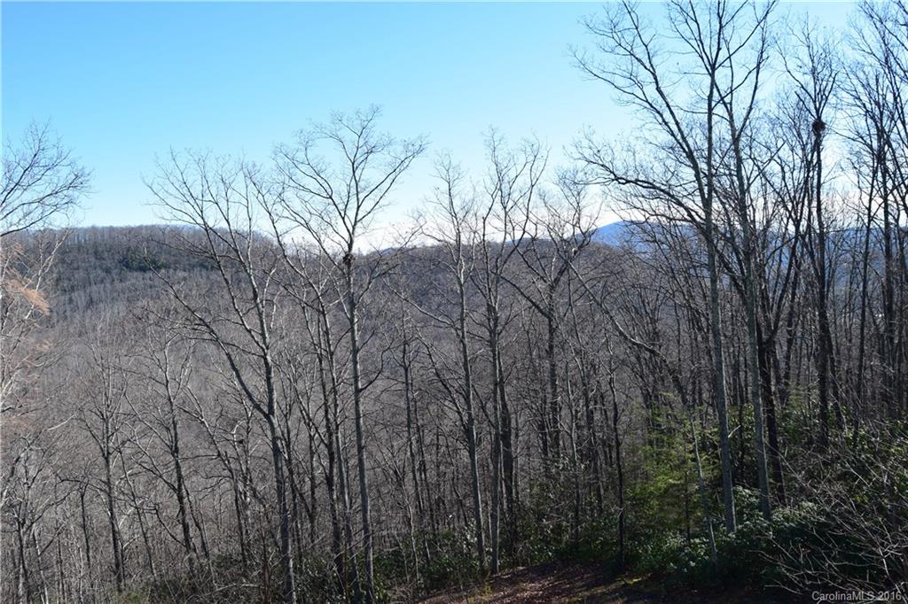 186 Butler Ridge Hendersonville, NC 28792 - Photo 5 of 19 Gallery Image 5