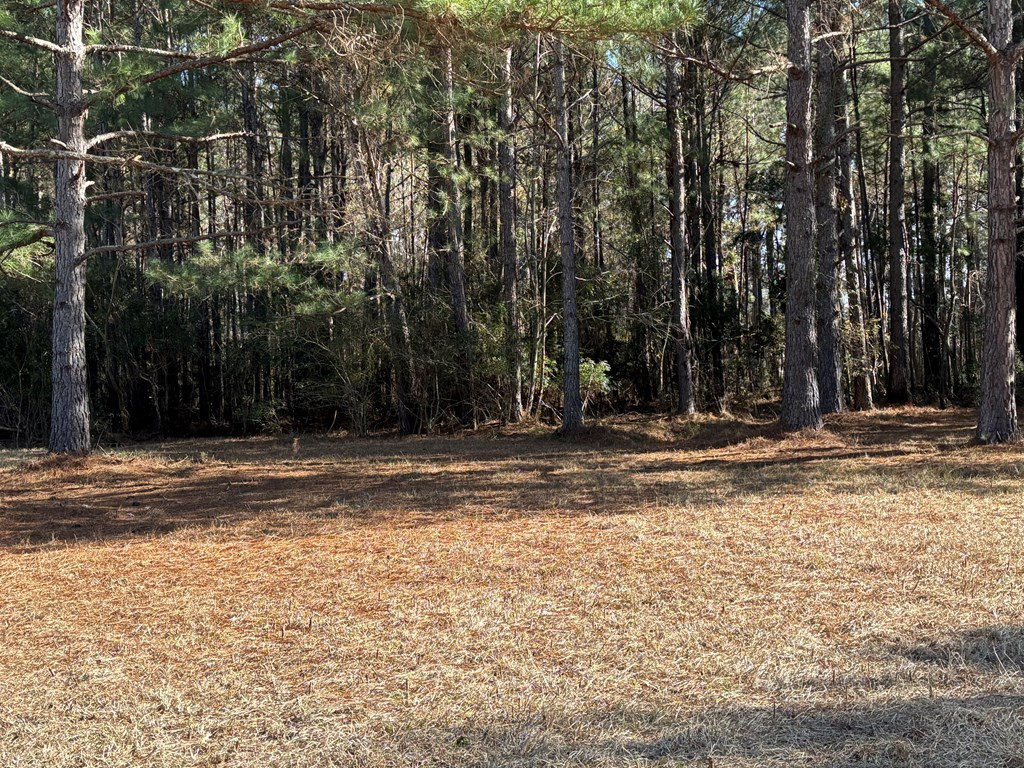 2018 South Brewington Road Manning, SC 29102 - Photo 12 of 13 Gallery Image 12