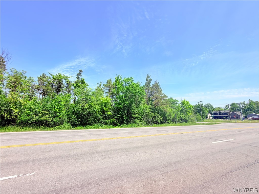 Vl Lake Shore Road Lake View, NY 14085 - Photo 4 of 4