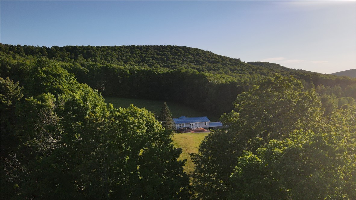 591 Cape Horn Road Gilboa, NY 12167 - Photo 28 of 31