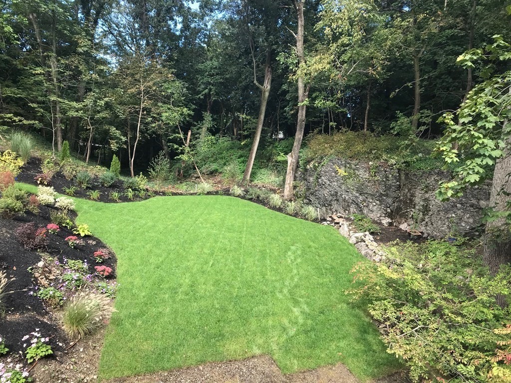 12 Bellingham Drive Brookline, MA 02467 - Photo 3 of 4 a view of backyard with green space