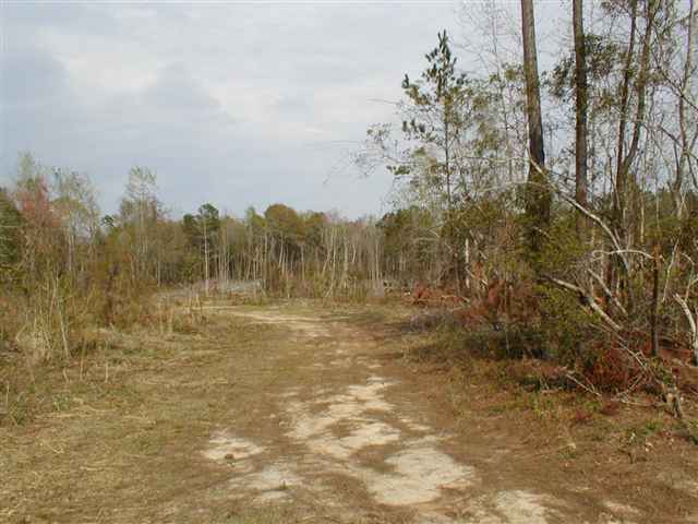 0 Choppee Road Hemingway, SC 29554 - Photo 1 of 5
