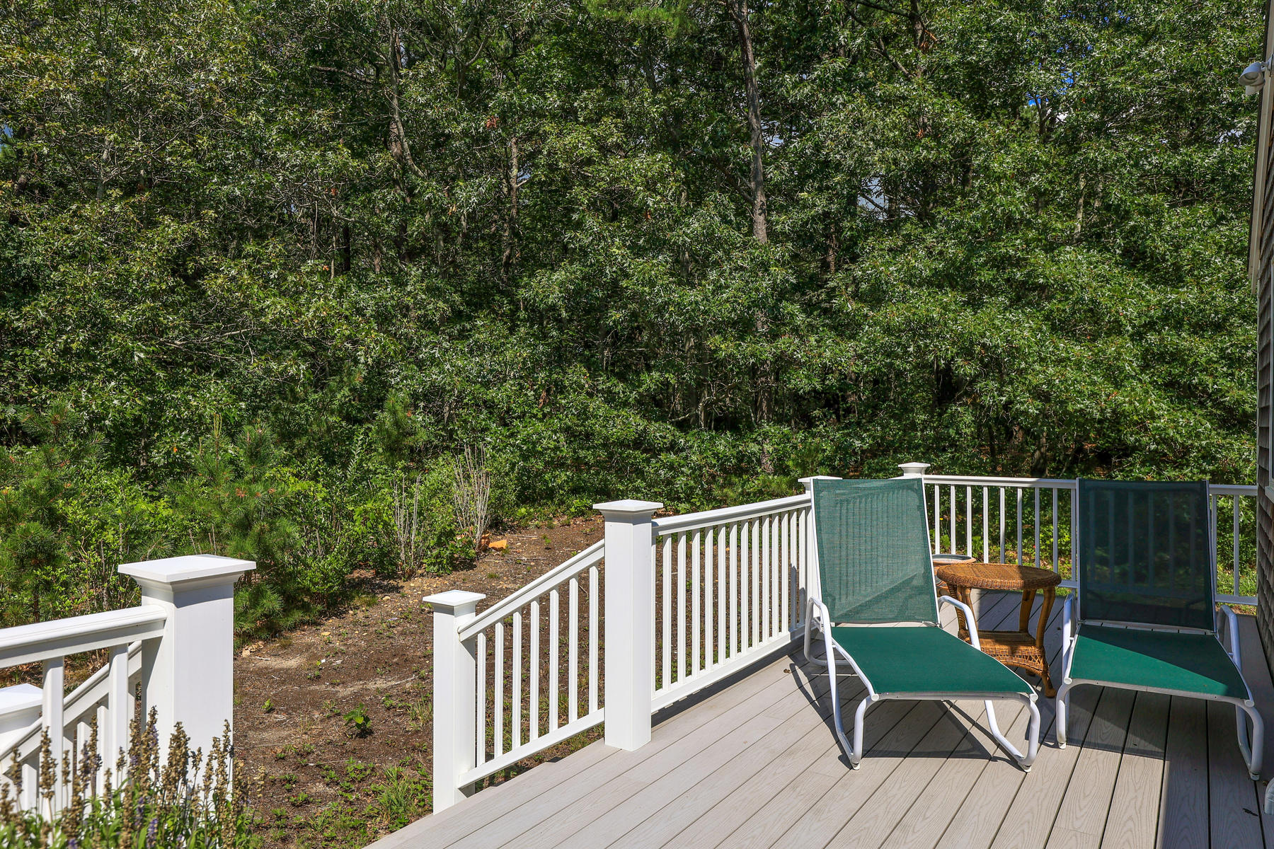 925 Cable Road Eastham, MA 02642 - Photo 8 of 40 598A7642