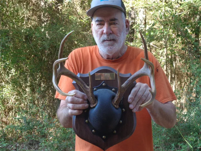 $175,000 | Tbd Tbd Palmetto, Montgomery, TX 77316