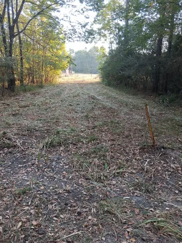 $175,000 | Tbd Tbd Palmetto, Montgomery, TX 77316