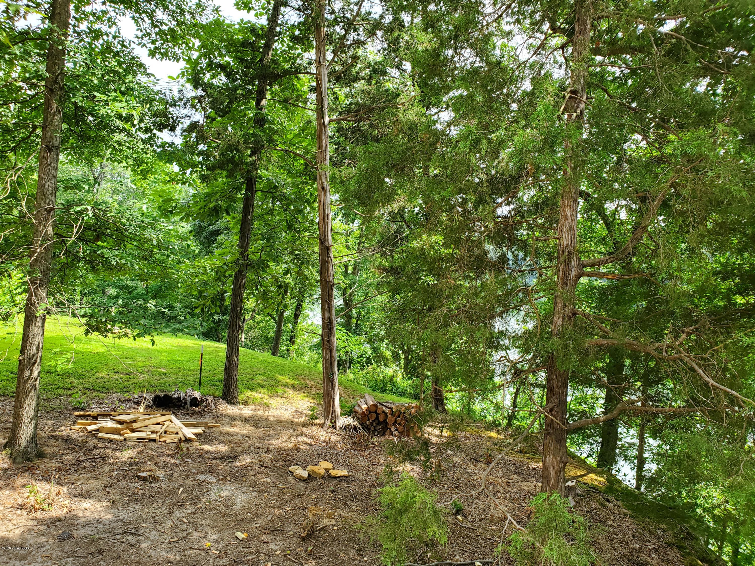 392 Spring Shores Lane Falls Of Rough, KY 40119 - Photo 19 of 22 20200716_150744