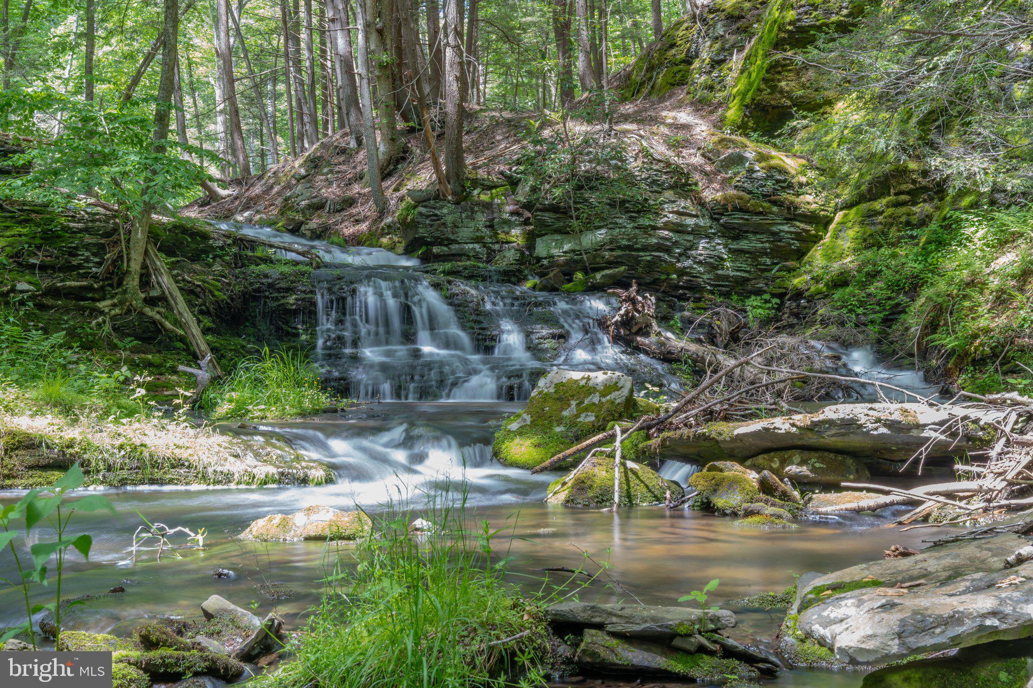 0 Cummins Hill Road Matamoras, PA 18336 - Photo 104 of 116 Serene forest waterfall oasis