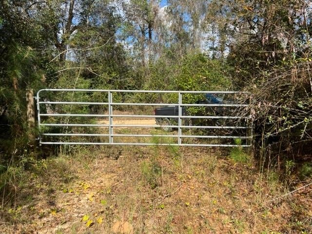 41.6-ac Chalker Road Opp, AL 36467 - Photo 15 of 17 Gallery Image 15