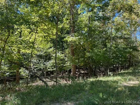 $3,000 | 94 Cheyenne Drive, Four Seasons, MO 65049