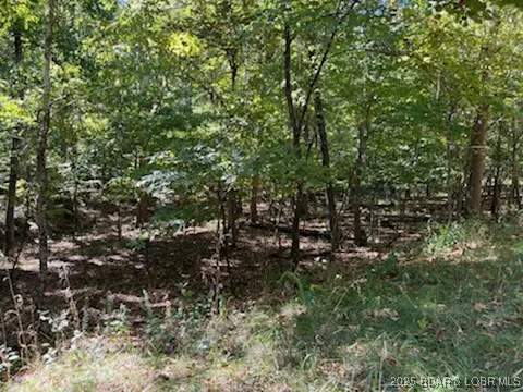 $3,000 | 94 Cheyenne Drive, Four Seasons, MO 65049