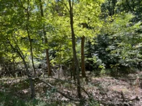 $3,000 | 94 Cheyenne Drive, Four Seasons, MO 65049