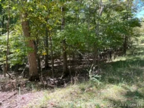 $3,000 | 94 Cheyenne Drive, Four Seasons, MO 65049