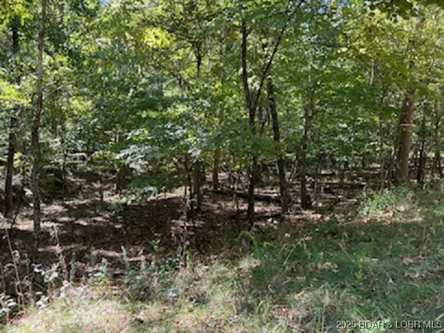 $3,000 | 94 Cheyenne Drive, Four Seasons, MO 65049