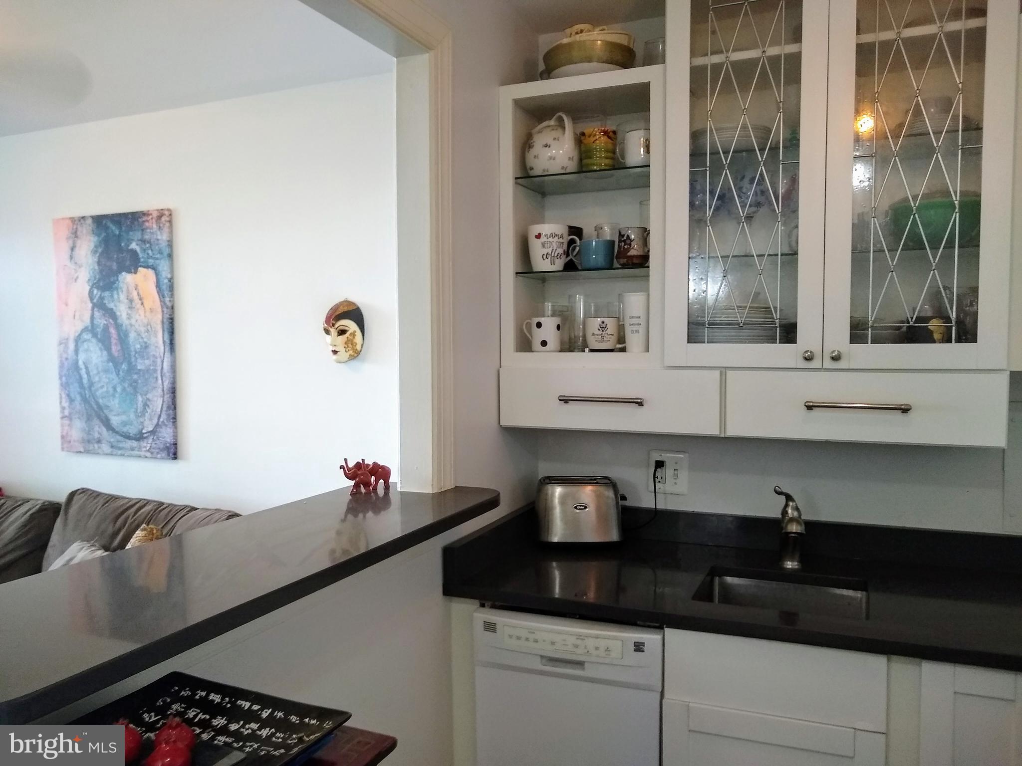 2800 Wisconsin Avenue Northwest, Unit 705 Washington, DC 20007 - Photo 20 of 42 Kitchen bar