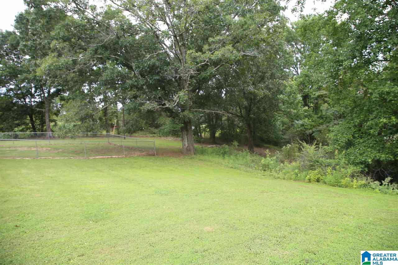 257 Avery Road Oneonta, AL 35121 - Photo 5 of 23