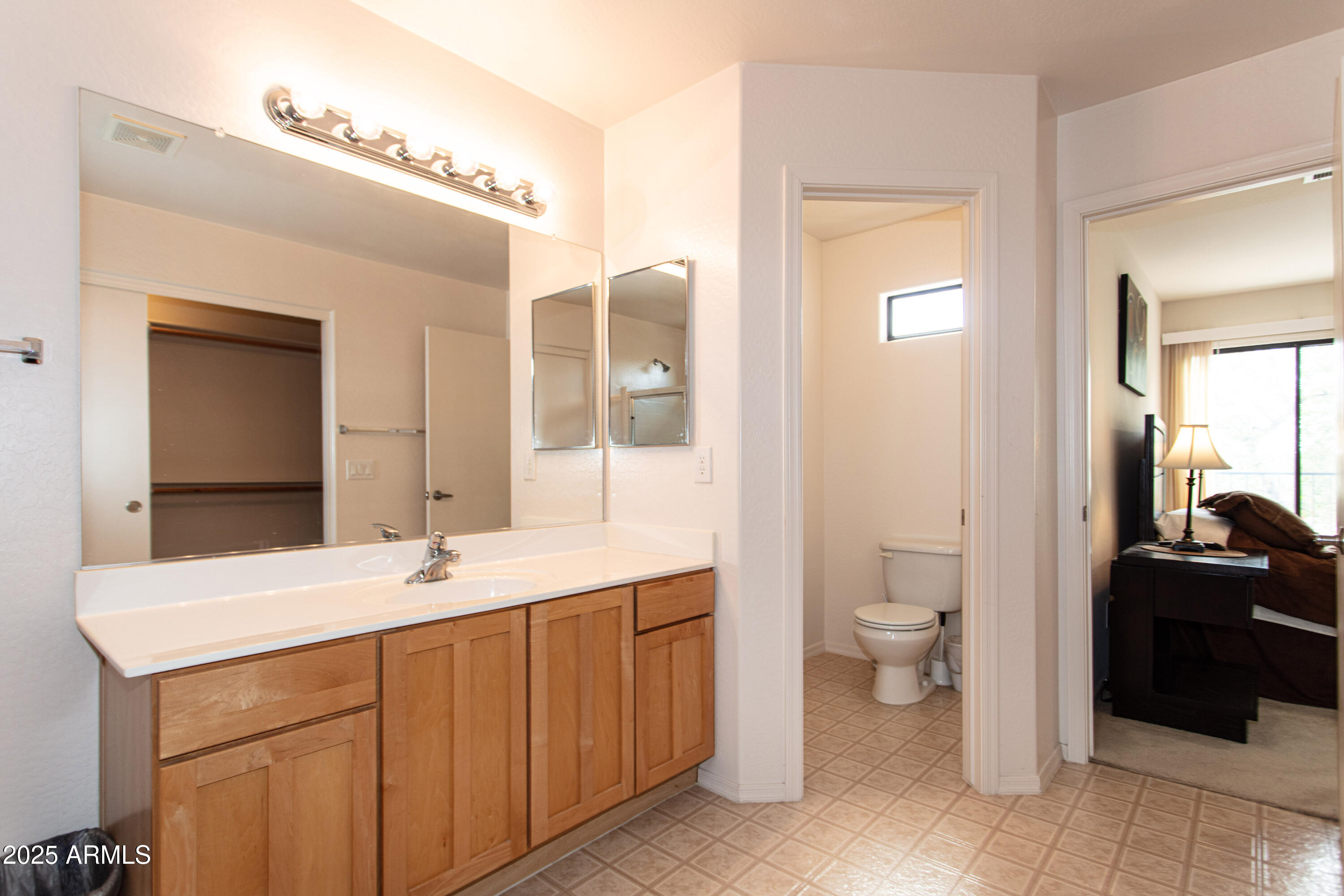 2749 South Powell Road Apache Junction, AZ 85119 - Photo 19 of 32 18 Master Bathroom