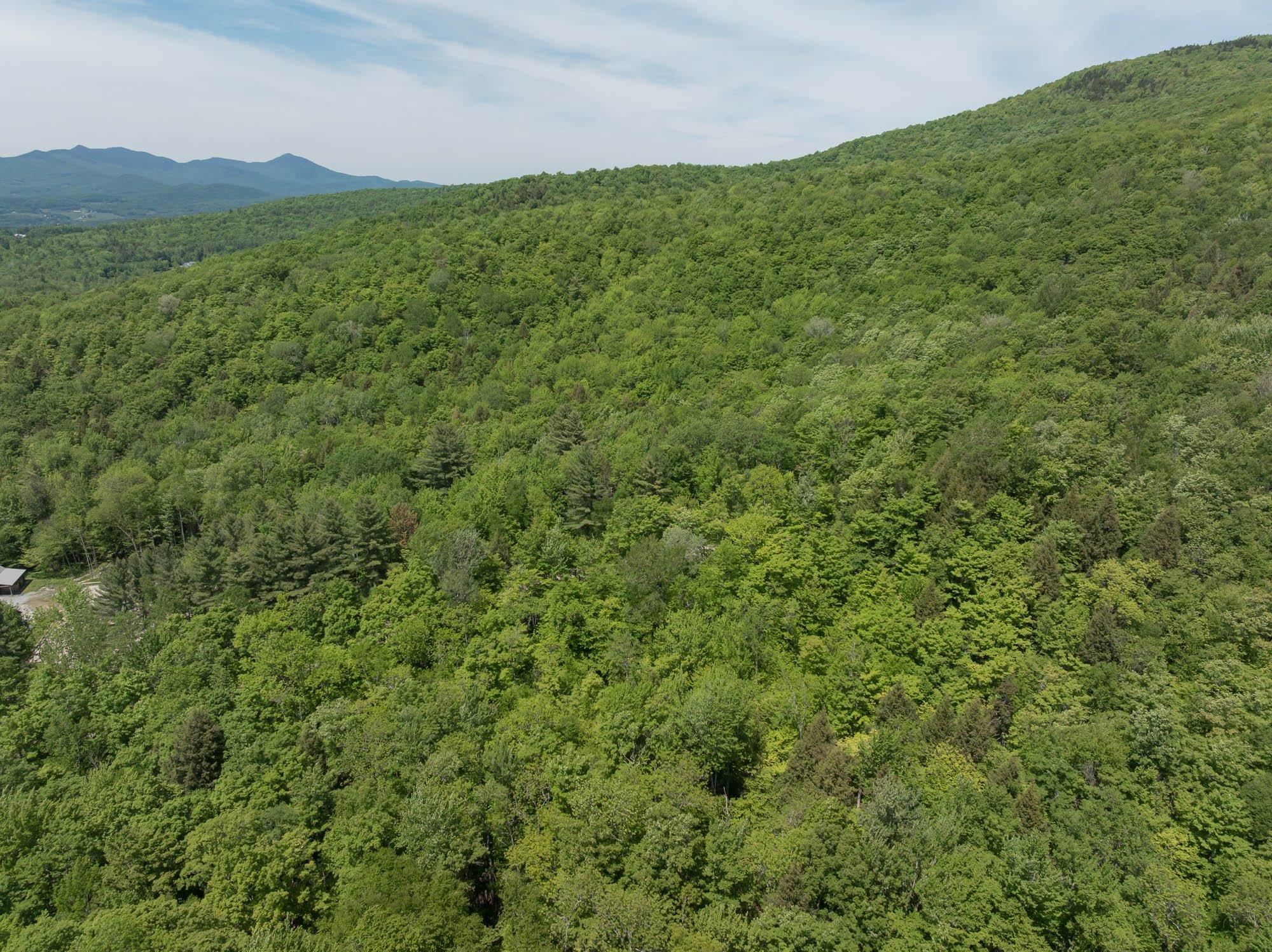 1243 North Hollow Road Stowe, VT 05672 - Photo 7 of 14