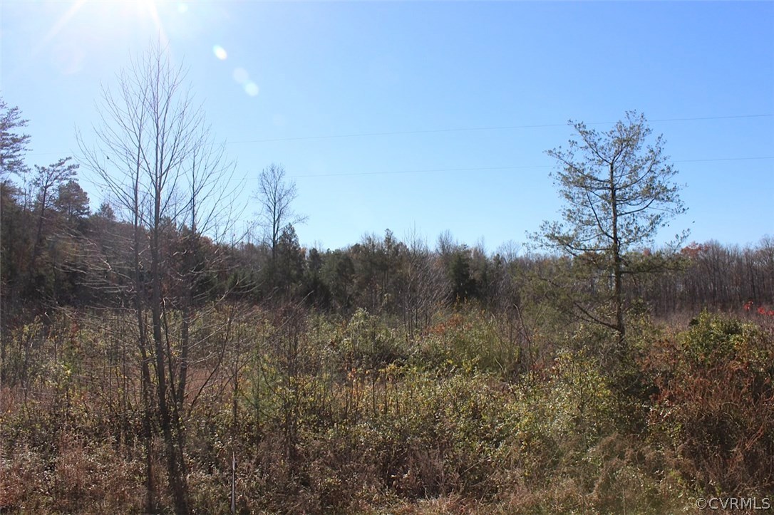 3803 Bell Road Goochland, VA 23063 - Photo 4 of 5 Gallery Image 4