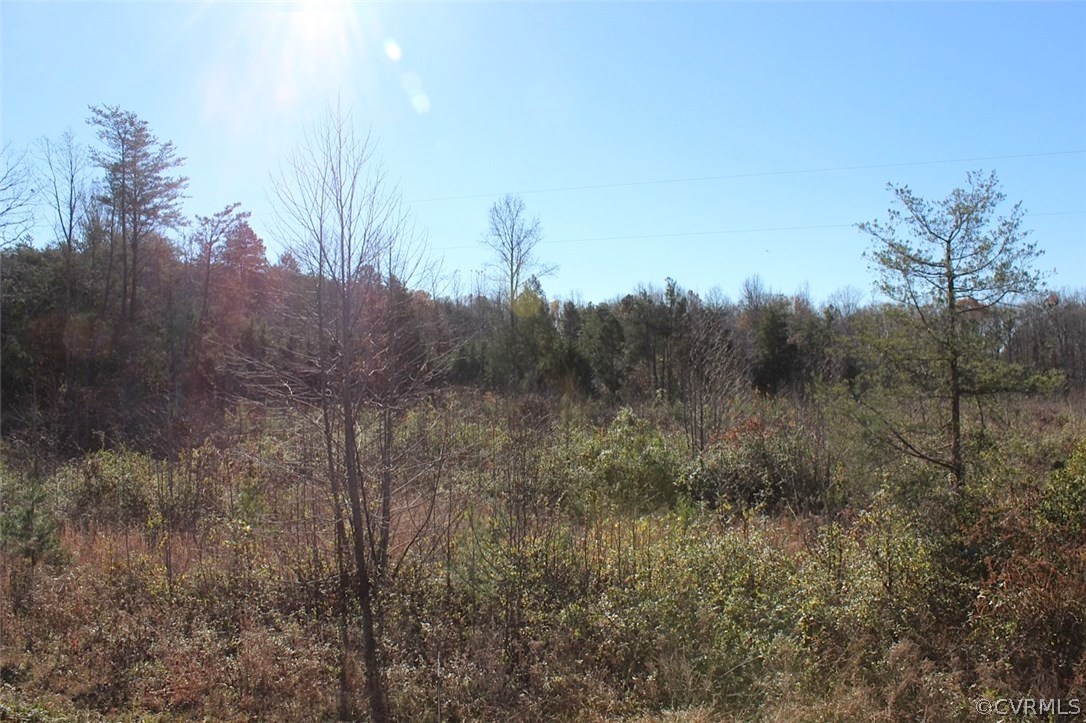 3803 Bell Road Goochland, VA 23063 - Photo 5 of 5 Gallery Image 5