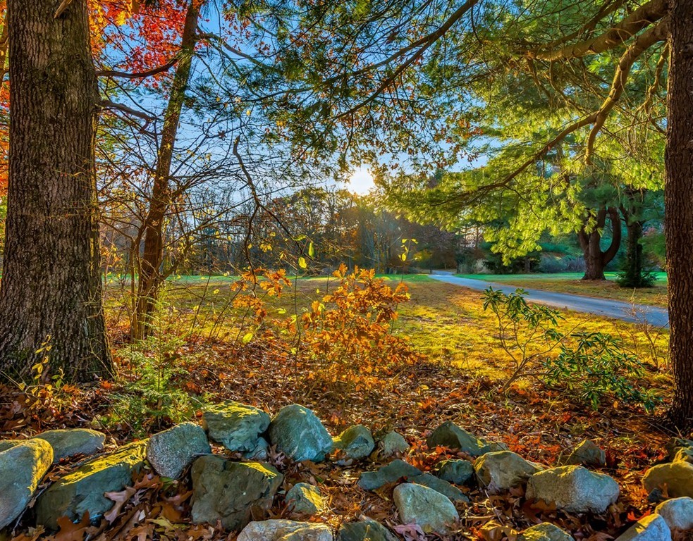 0 Weston Road Lincoln, MA 01773 - Photo 1 of 11 Gallery Image 1