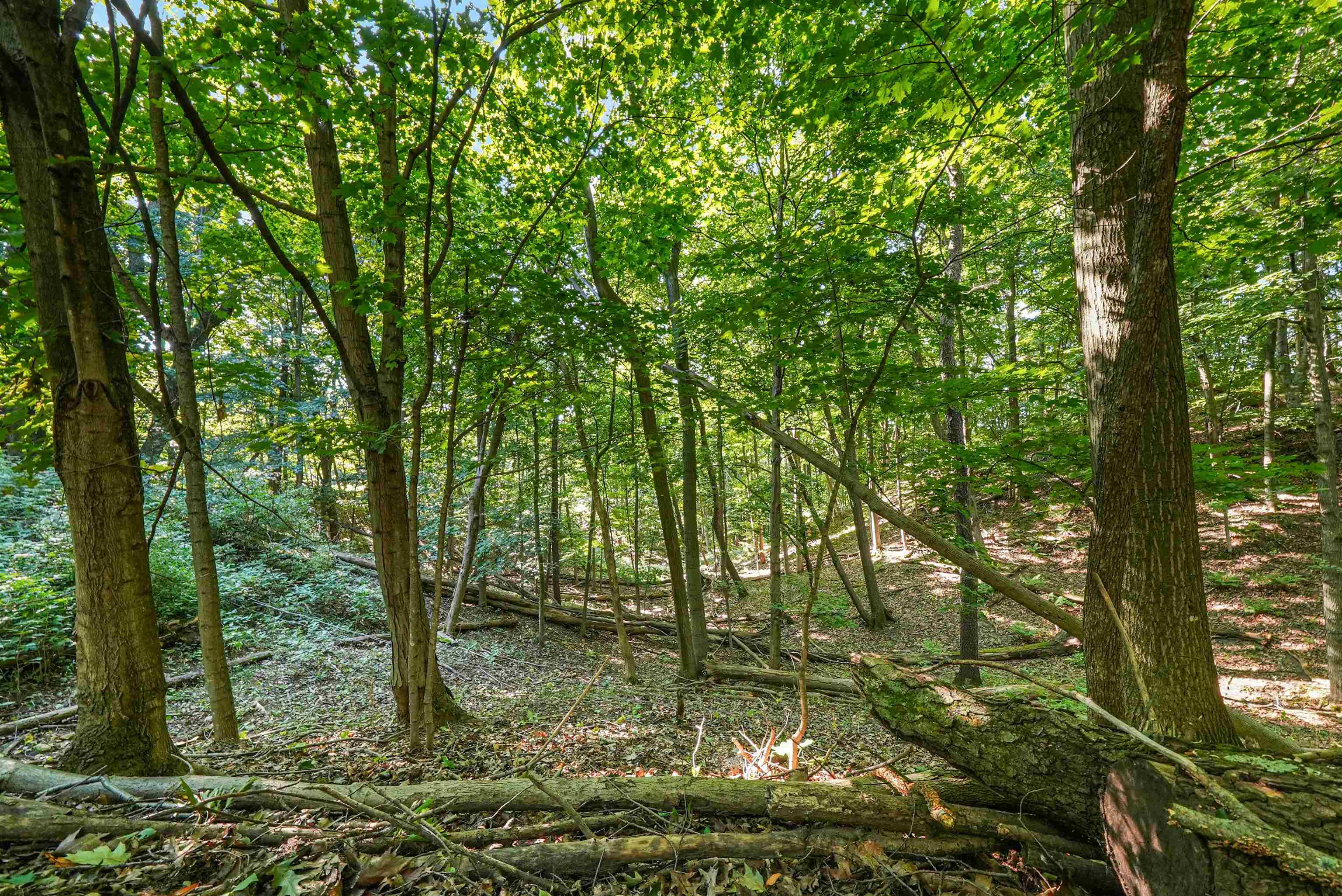 -3 Carlson Road, Unit PARCEL 3 Frankfort, MI 49635 - Photo 5 of 15