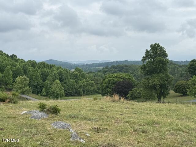 Tbd South Summer Sound Road Piney Flats, TN 37686 - Photo 7 of 22 IMG_8055
